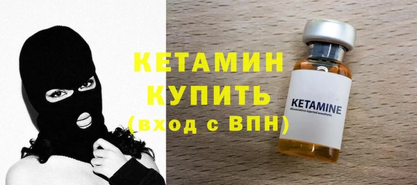 шишки Магас