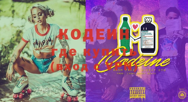 шишки Магас