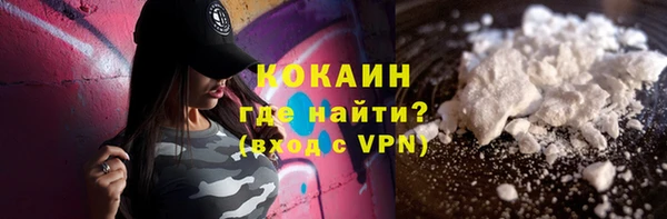 шишки Магас