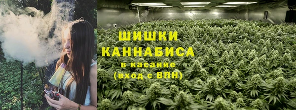 гидра Вяземский