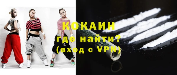 шишки Магас