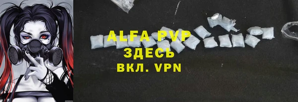 шишки Магас