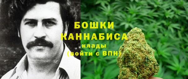 стафф Мегион