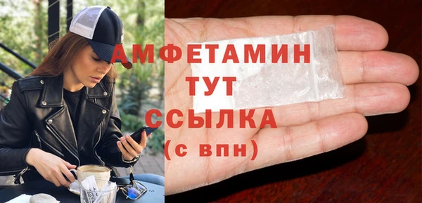 шишки Магас