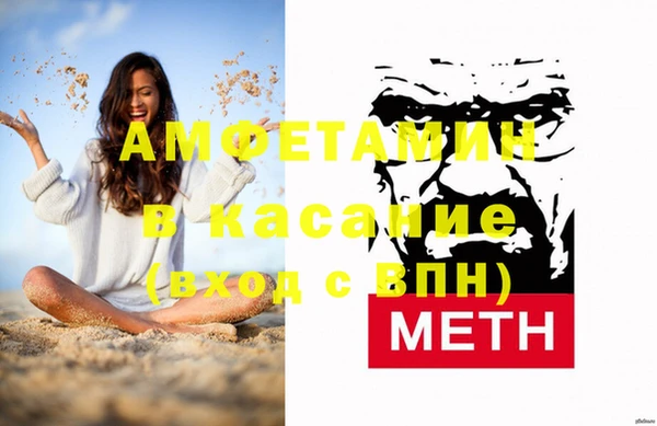шишки Магас