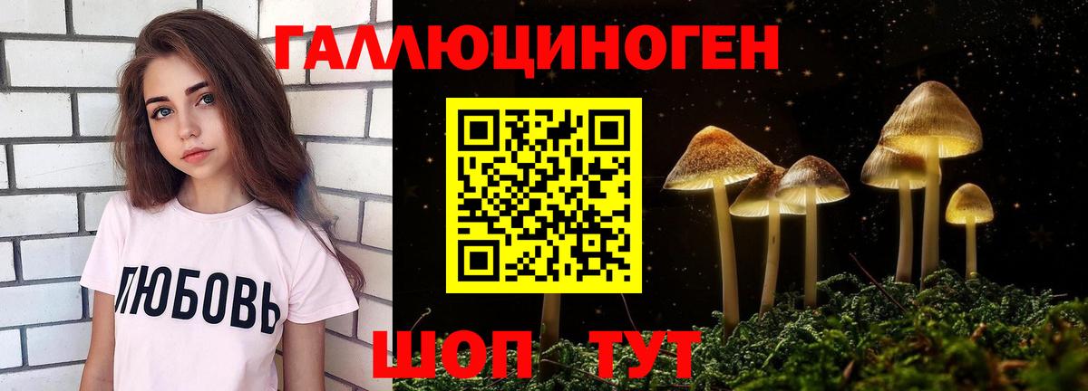 A PVP Смоленск